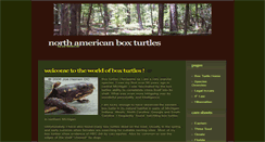 Desktop Screenshot of aboxturtle.com