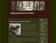 Tablet Screenshot of aboxturtle.com